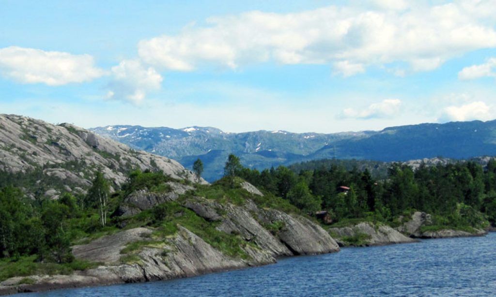 Der Älteste Baum Der Welt Schweden Der Älteste Baum Der Welt Schweden